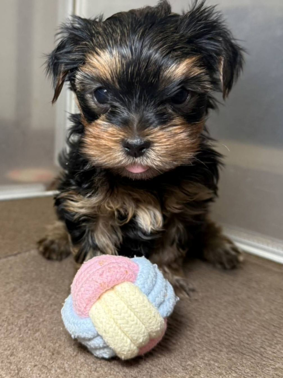 れんーちゃんべびー男の子