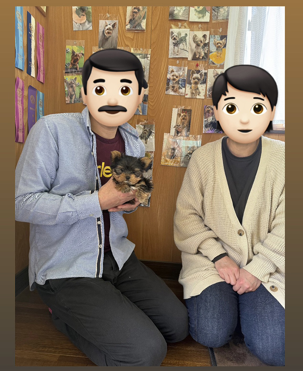 らんちゃんべびー男の子