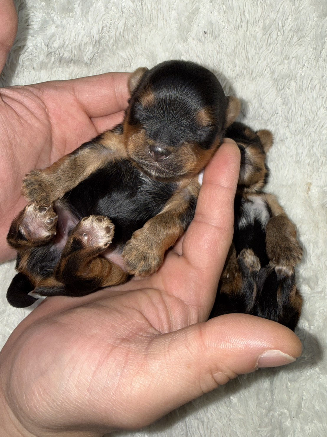 れんーちゃんべびー男の子