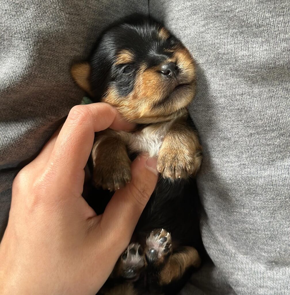 #目が開きました