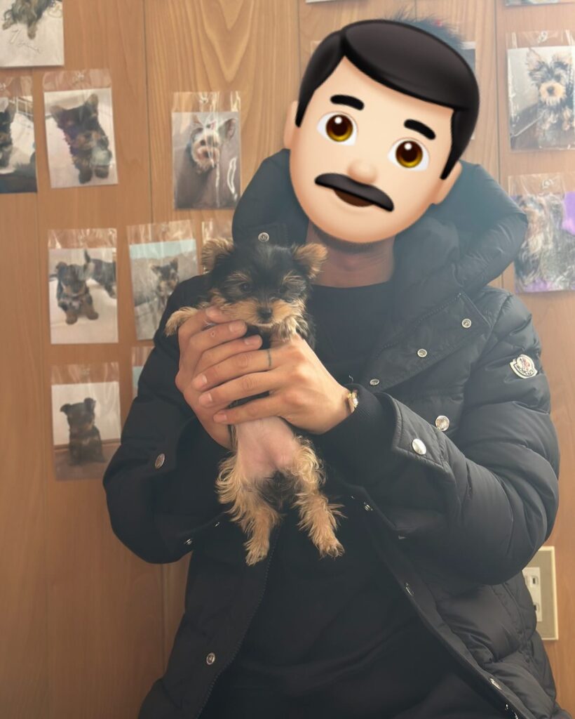 #ご家族決まりました