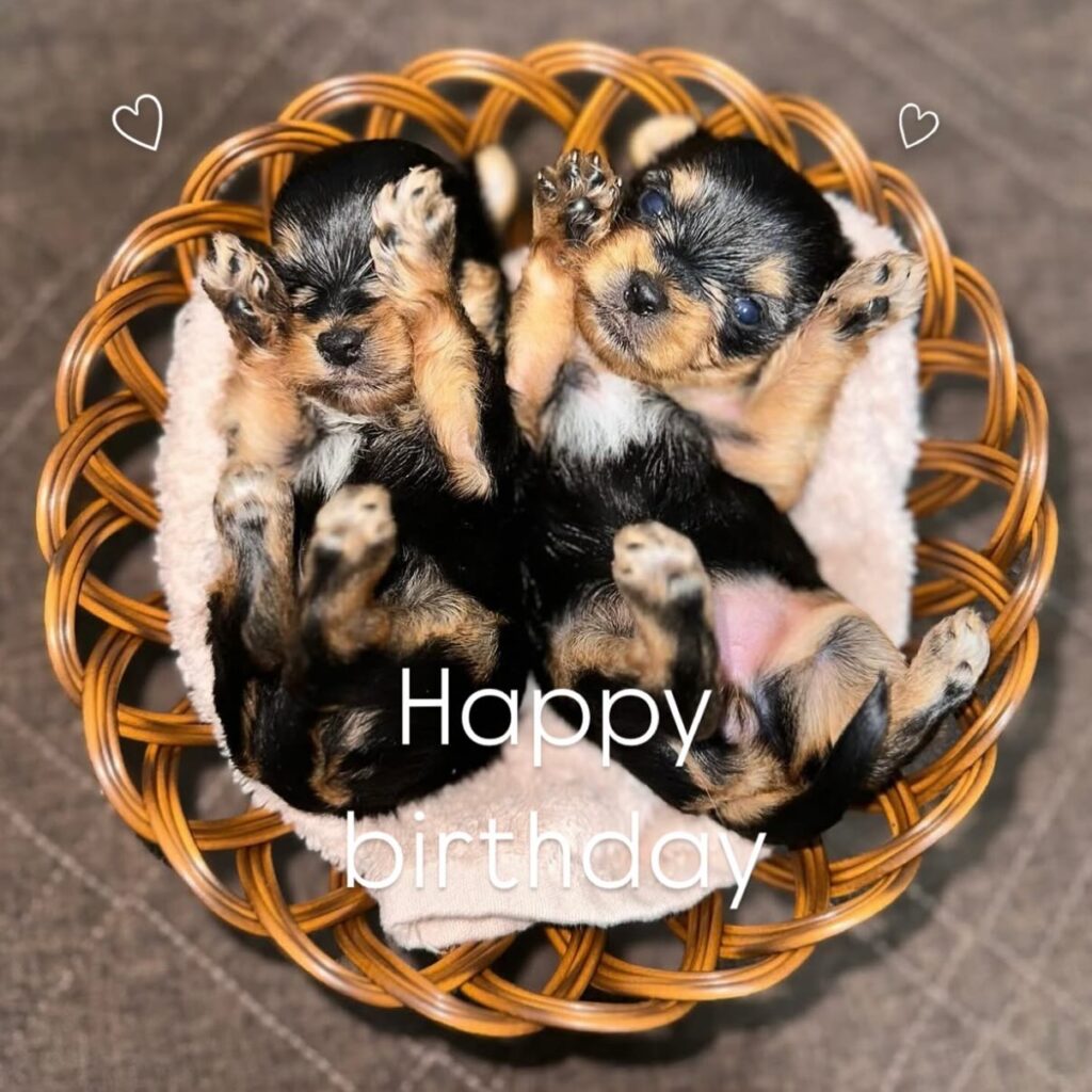 #お誕生日おめでとう