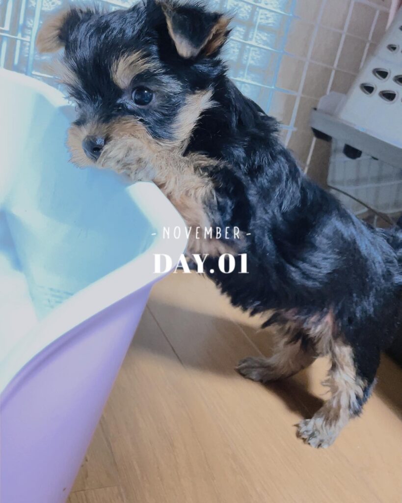 #生後45日目