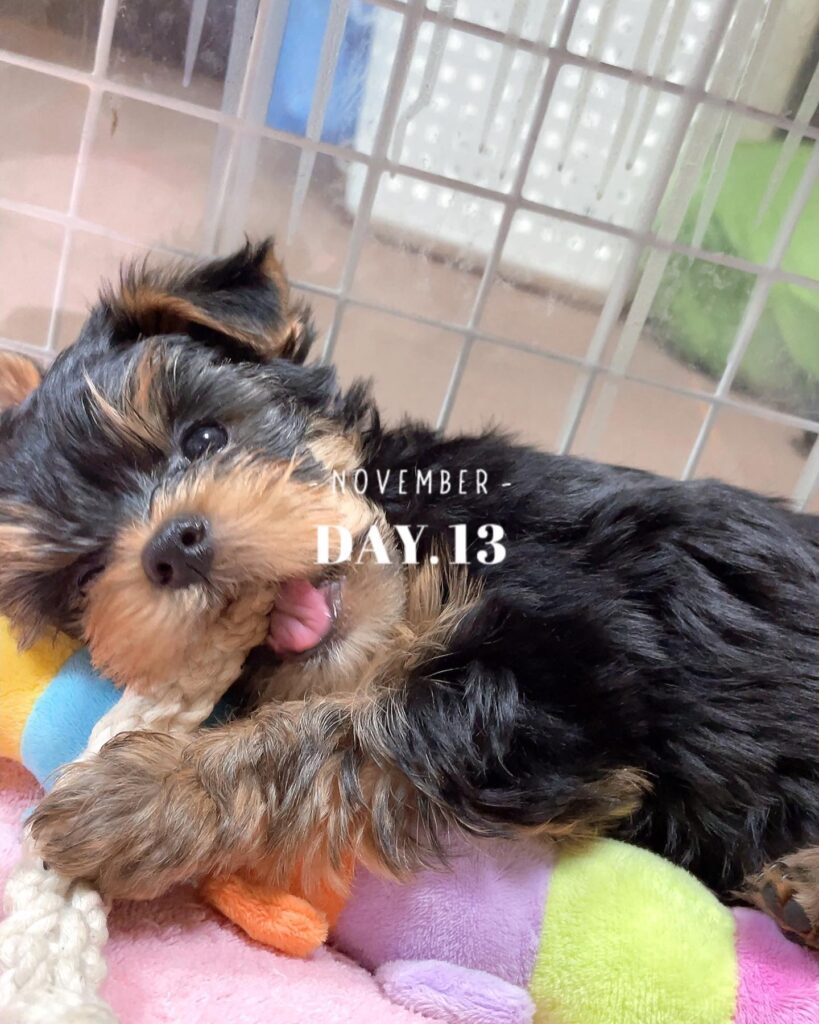 #生後57日目