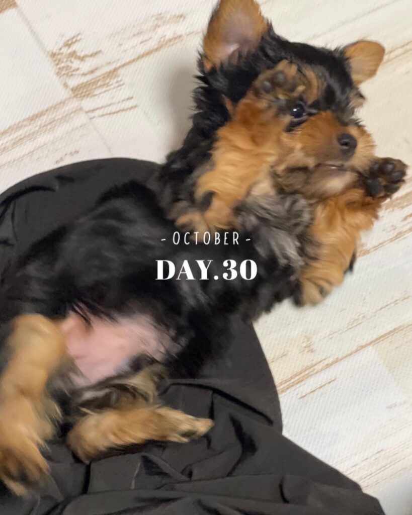 #生後43日目