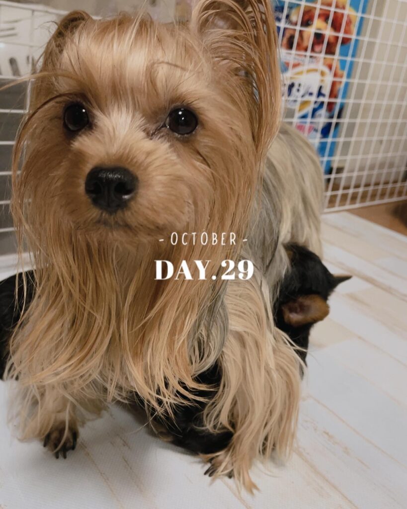 #生後42日目