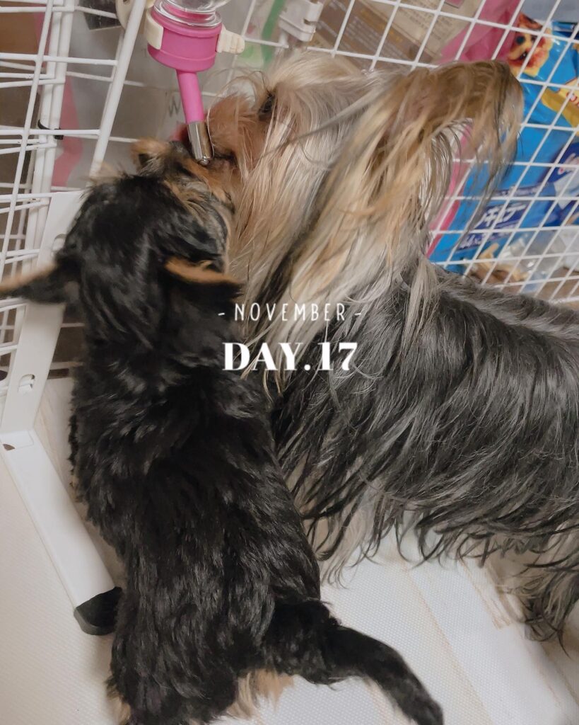 #生後61日目