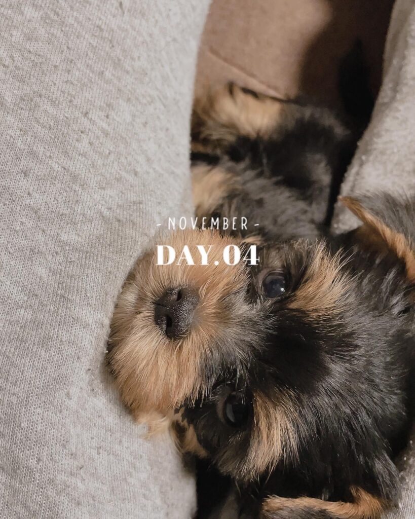 #生後48日目