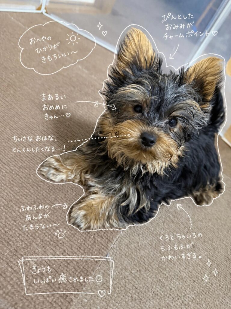 #流行りにのってみた