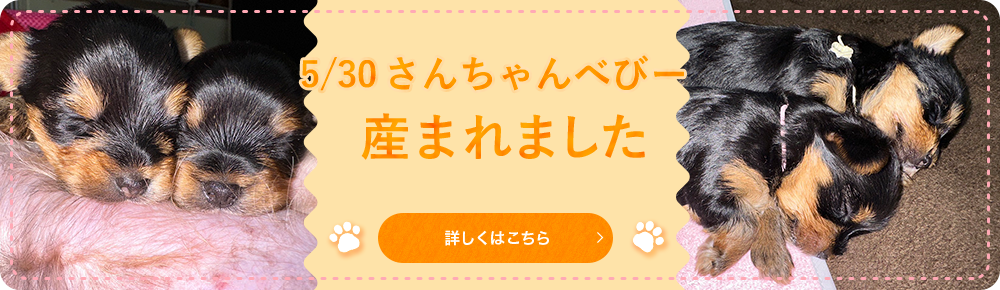 5/30さんちゃんべびー産まれました